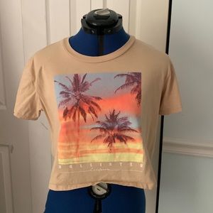 Vintage style cotton tee shirt Hollister